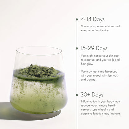 WelleCo The Super Elixir Daily Greens Powder Probiotic Drink Mix